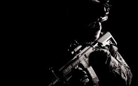 navyseaL